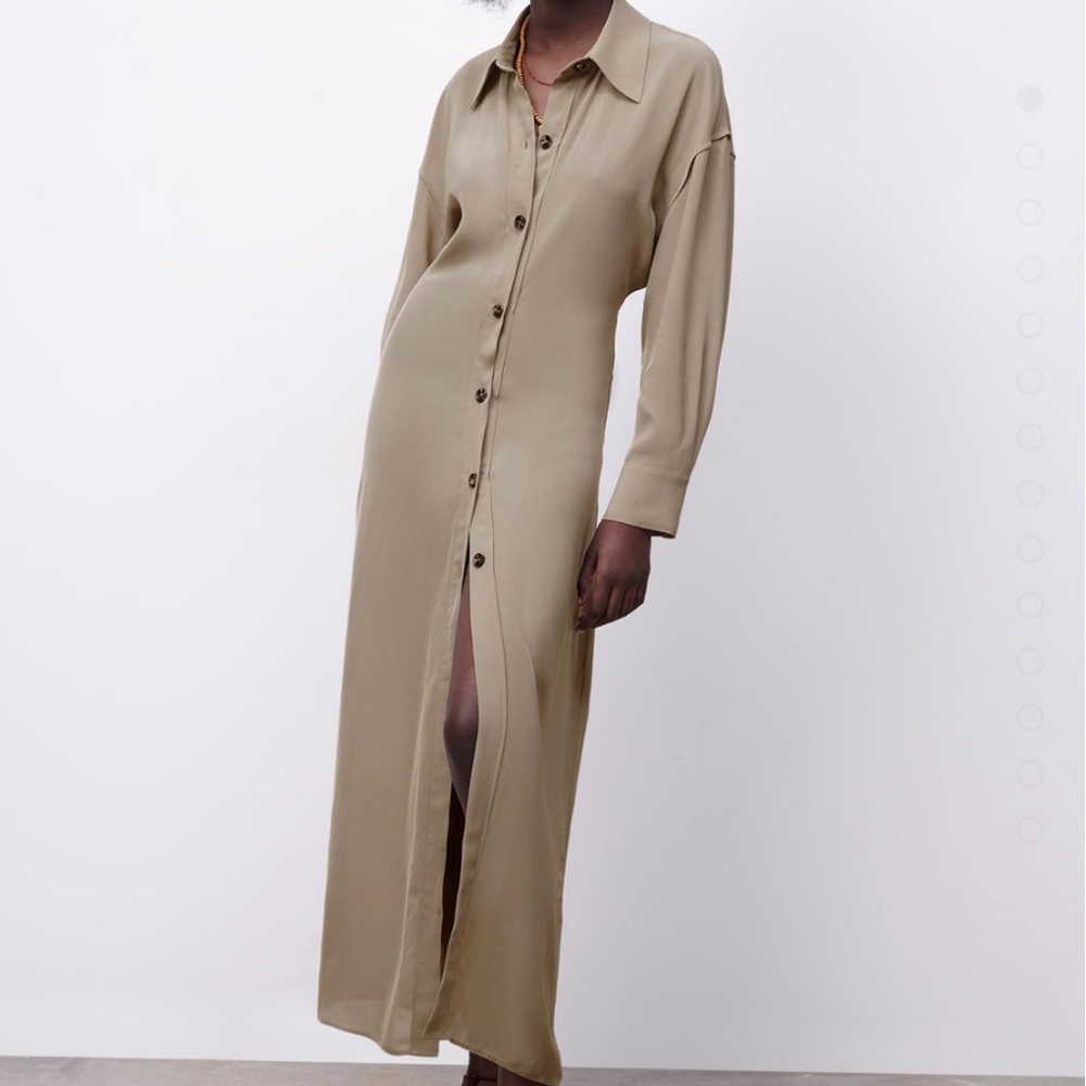 NWT ZARA limited edition